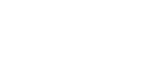 Wellington Film Festival