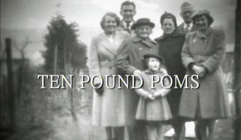 ten pound poms