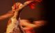 A Thousand Encores: The Ballets Russes in Australia - Music Composer Brett Aplin