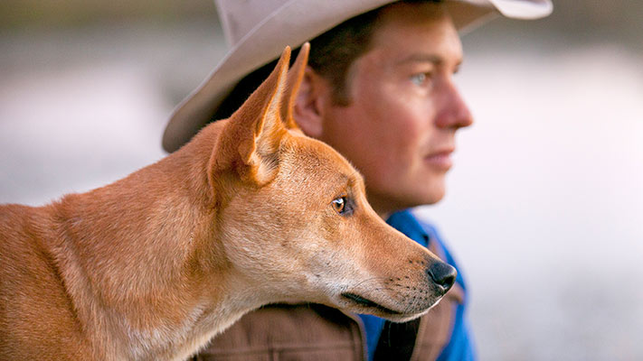 Dingo - Wild Dog at War - Music Composer Brett Aplin